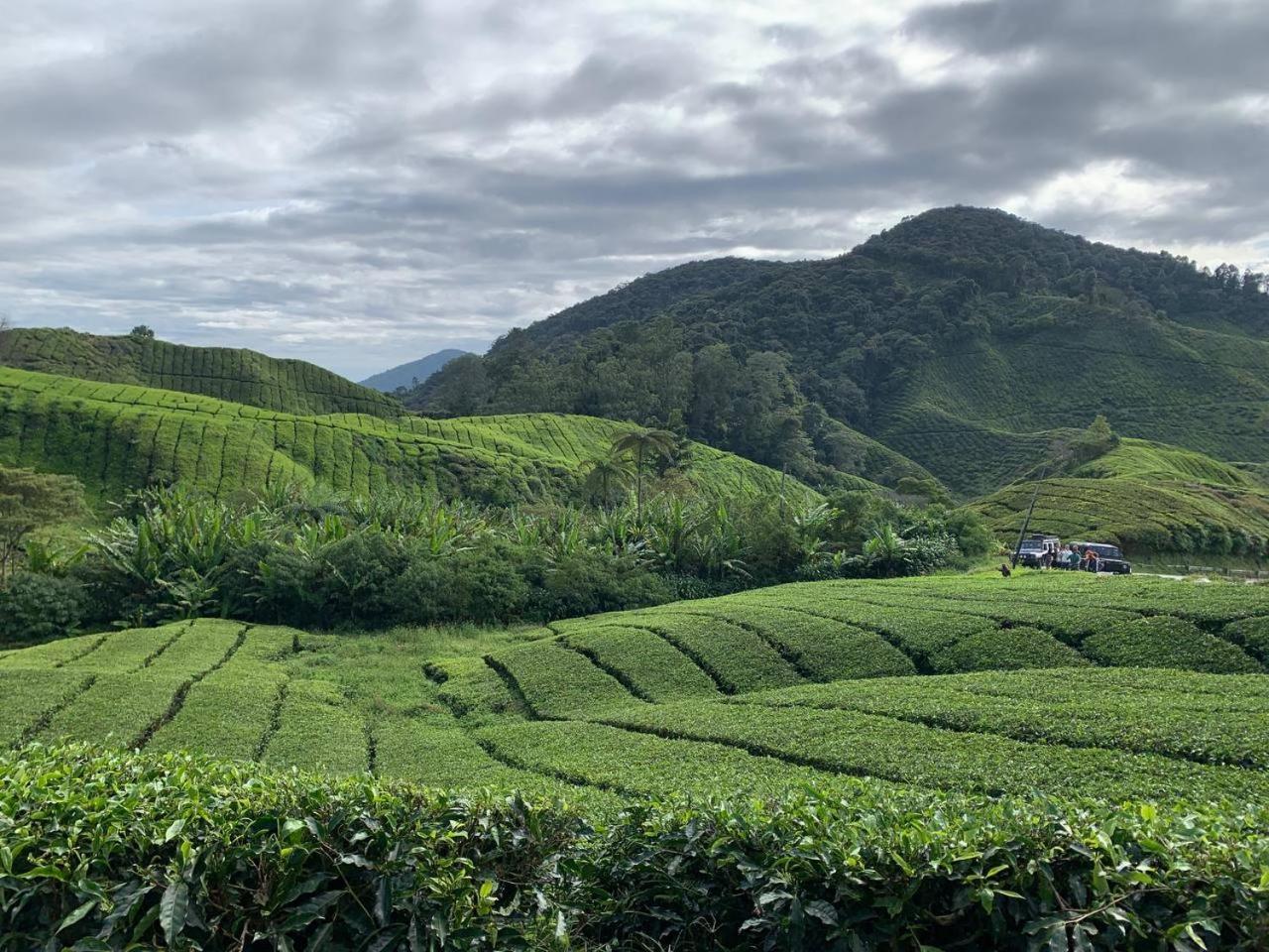 Love Lodge Brinchang, Cameron Highlands Tanah Rata Exterior foto